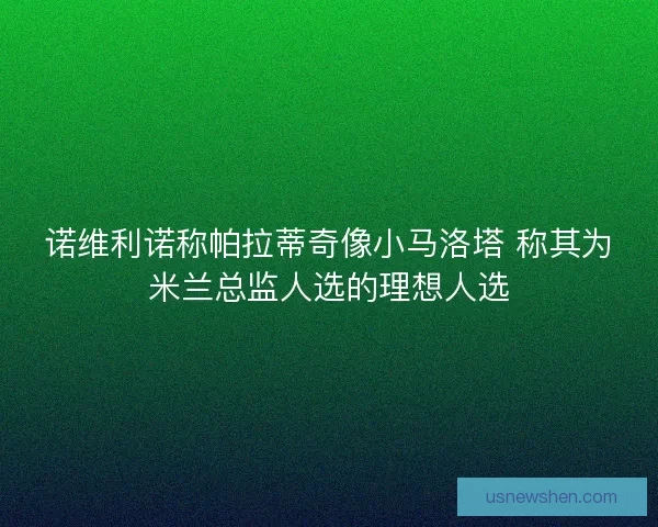 诺维利诺称帕拉蒂奇像小马洛塔 称其为米兰总监人选的理想人选 诺维利诺称帕拉蒂奇像小马洛塔 称其为米兰总监人选的理想人选