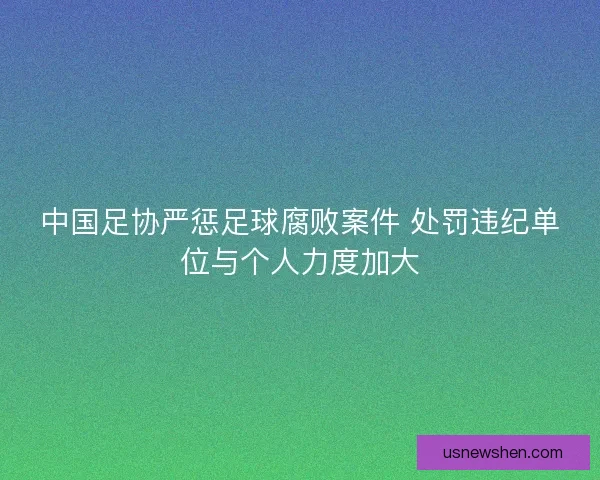 中国足协严惩足球腐败案件 处罚违纪单位与个人力度加大